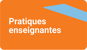 Vignette pratiques enseignantes